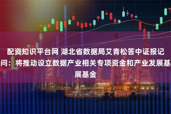 配资知识平台网 湖北省数据局艾青松答中证报记者问：将推动设立数据产业相关专项资金和产业发展基金