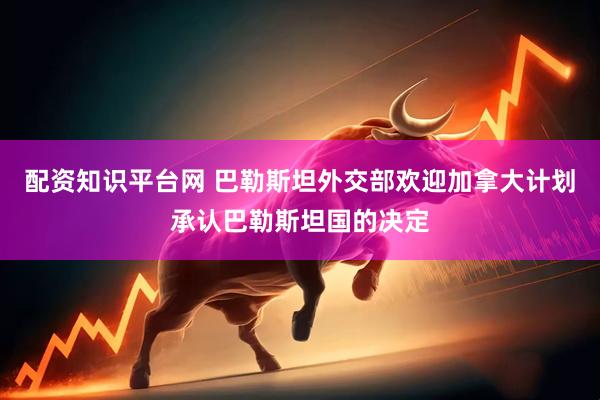 配资知识平台网 巴勒斯坦外交部欢迎加拿大计划承认巴勒斯坦国的决定