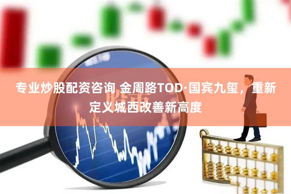 专业炒股配资咨询 金周路TOD·国宾九玺，重新定义城西改善新高度