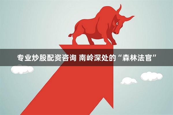 专业炒股配资咨询 南岭深处的“森林法官”