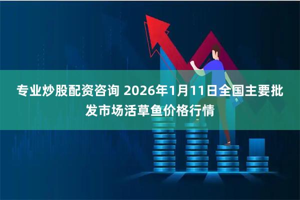 专业炒股配资咨询 2026年1月11日全国主要批发市场活草鱼价格行情